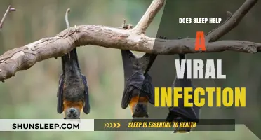 Sleep's Role in Fighting Viral Infections: Boosting Immunity Naturally