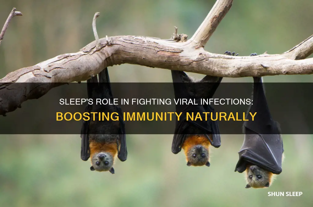 does sleep help a viral infection
