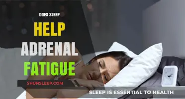 Sleep and Adrenal Fatigue: Unraveling the Restorative Connection for Recovery