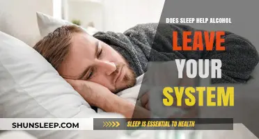 Sleep and Alcohol Metabolism: Does Rest Speed Up Detoxification?