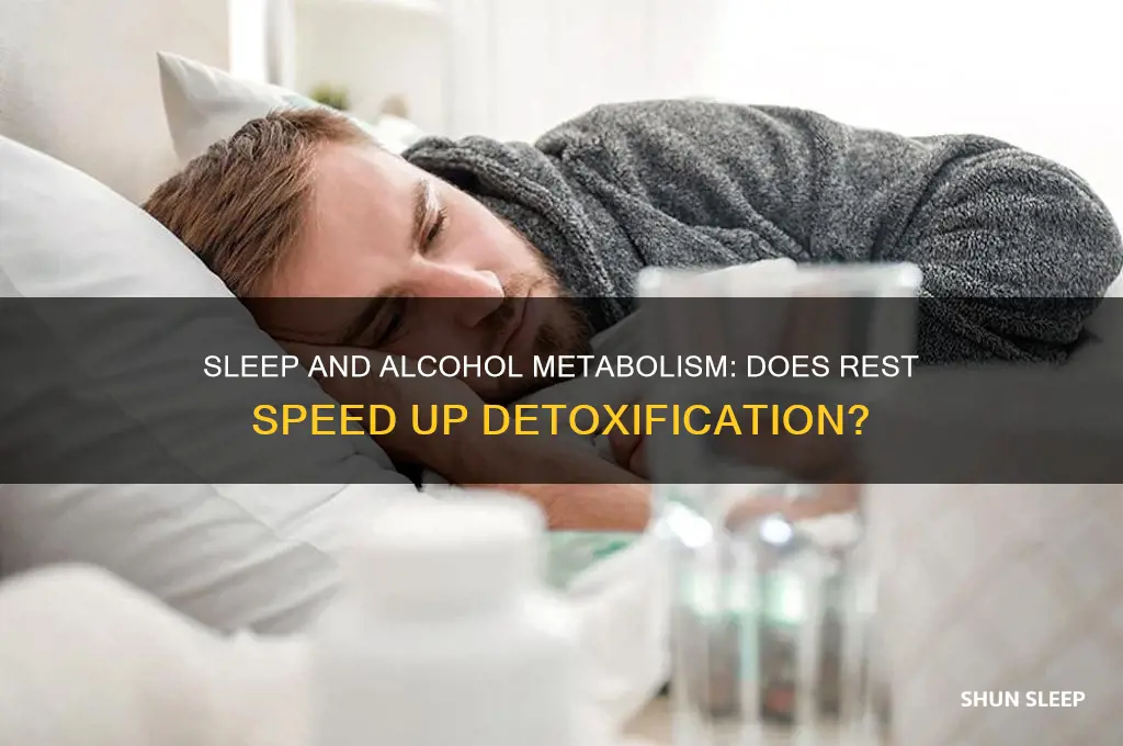 does sleep help alcohol leave your system