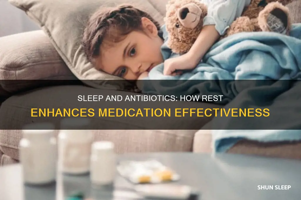 does sleep help antibiotics work