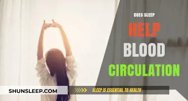 Sleep's Impact on Blood Circulation: Enhancing Heart Health and Recovery