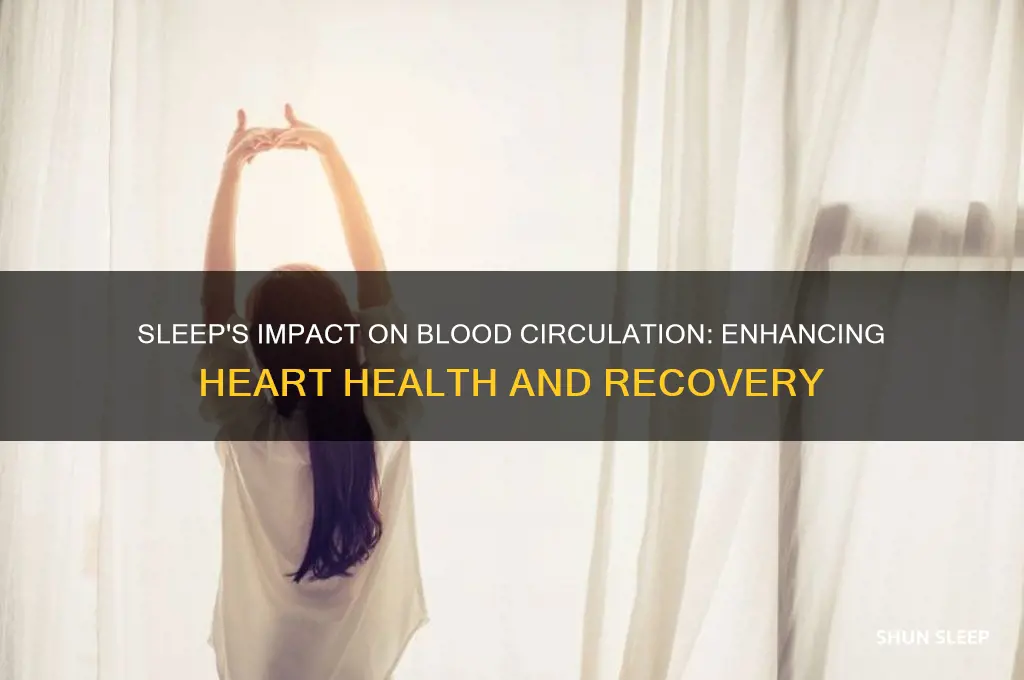 does sleep help blood circulation