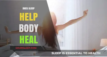 Sleep's Healing Power: How Rest Aids Body Recovery and Repair