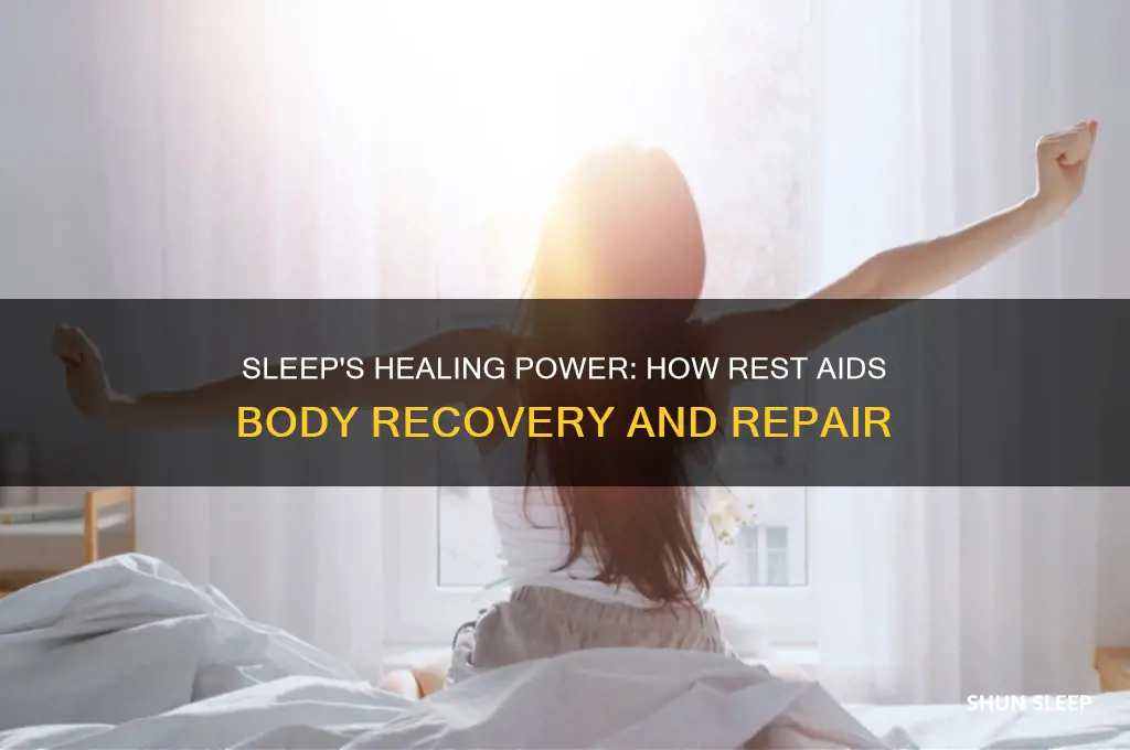 does sleep help body heal