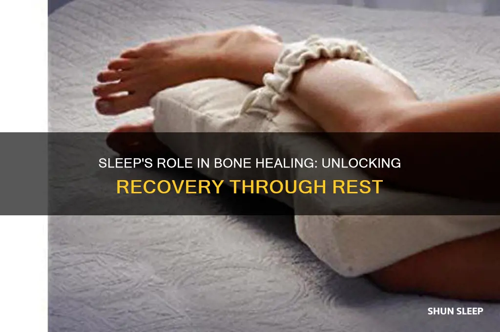 does sleep help bone healing