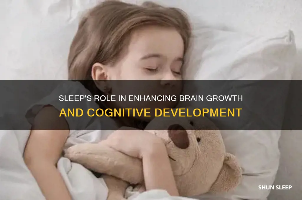 does sleep help brain development