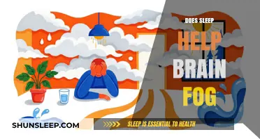 Sleep and Brain Fog: Unlocking Mental Clarity Through Restorative Sleep