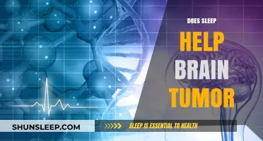 Sleep's Role in Brain Tumor Recovery: What Research Reveals