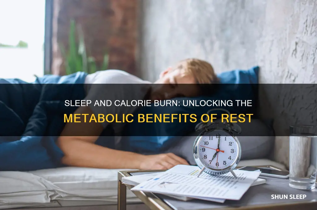 does sleep help burn calories