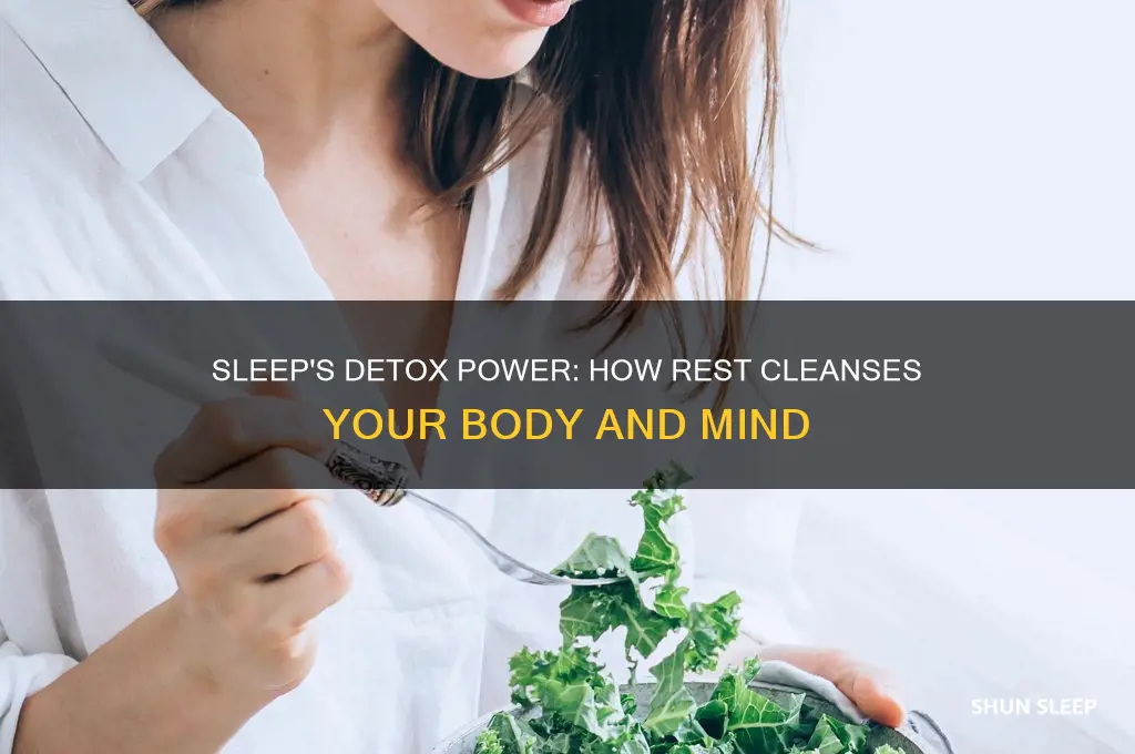 does sleep help clean your system