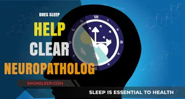 Sleep's Role in Clearing Brain Toxins and Neuropathologies Explained