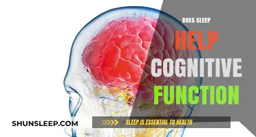 Sleep's Impact: Boosting Cognitive Function and Brain Health