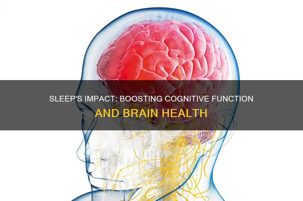 does sleep help cognitive function
