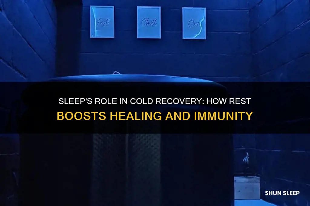 does sleep help cold recovery