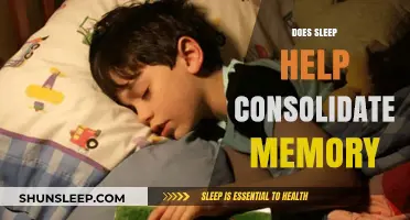 Sleep's Role in Memory Consolidation: Unlocking Cognitive Benefits Overnight