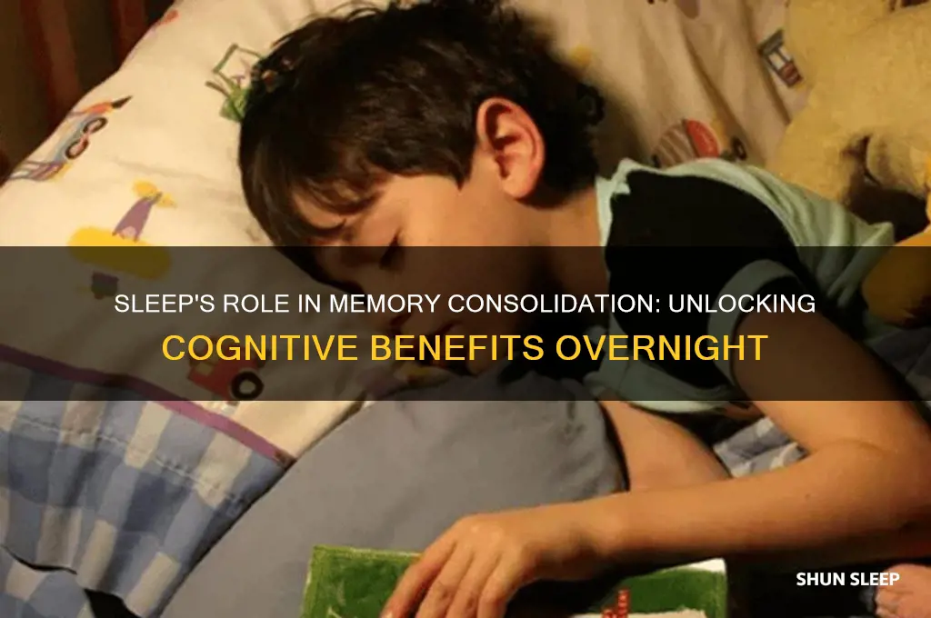 does sleep help consolidate memory