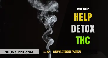 Does Sleep Aid THC Detox? Exploring the Science and Myths