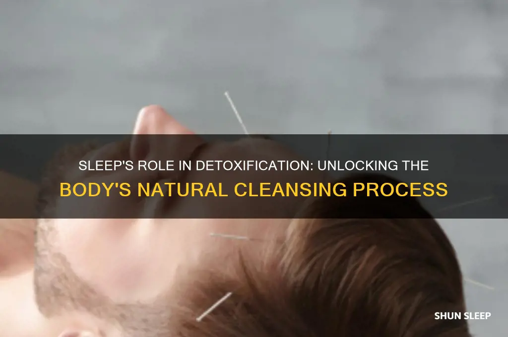 does sleep help detox