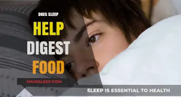 Sleep and Digestion: How Rest Impacts Your Food Processing Efficiency