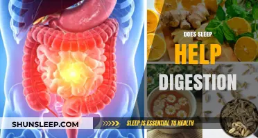 Sleep and Digestion: How Rest Impacts Your Gut Health