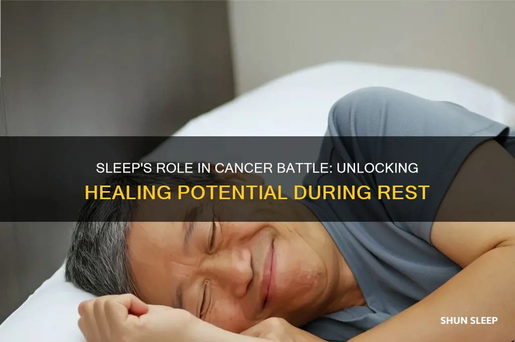 does sleep help fight cancer