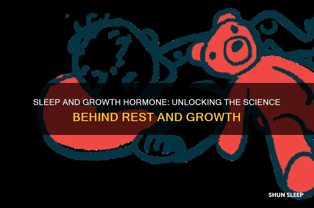 does sleep help growth hormone