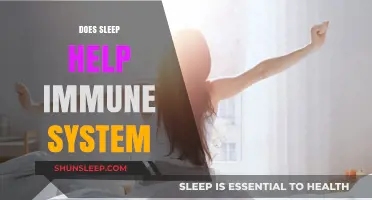 Boost Your Immunity: How Quality Sleep Strengthens Your Immune System