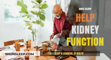 Sleep and Kidney Health: Unlocking the Connection for Optimal Function