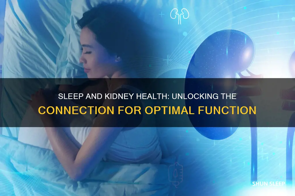 does sleep help kidney function