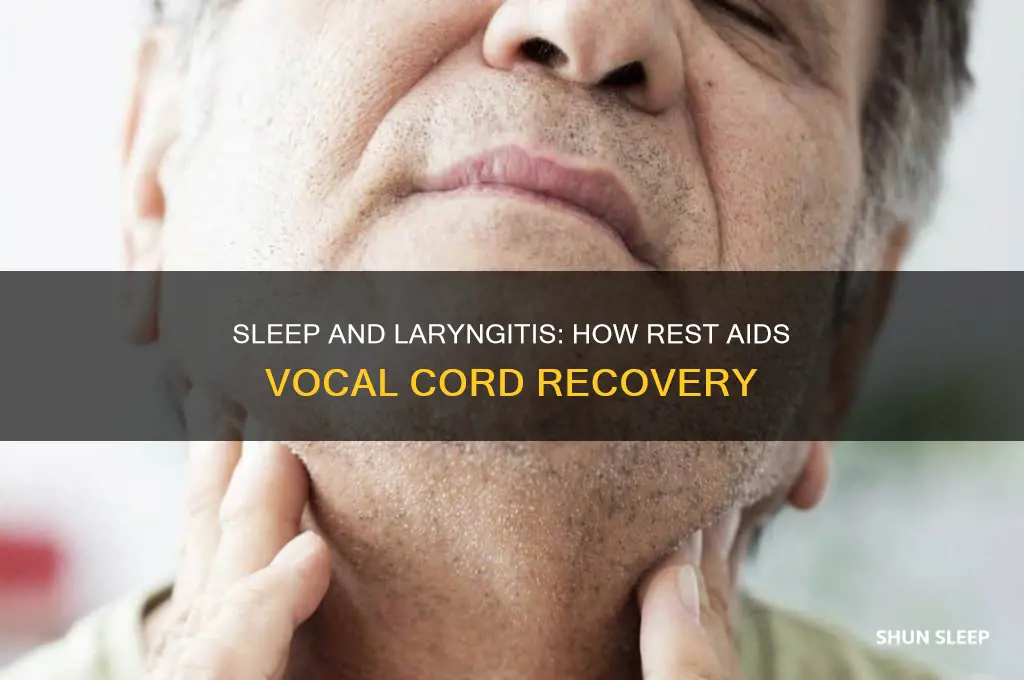 does sleep help laryngitis