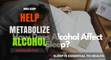 Sleep and Alcohol Metabolism: How Rest Impacts Your Body's Recovery