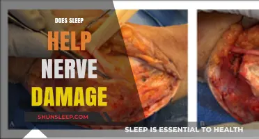 Sleep and Nerve Repair: Can Rest Aid Damaged Nerve Recovery?