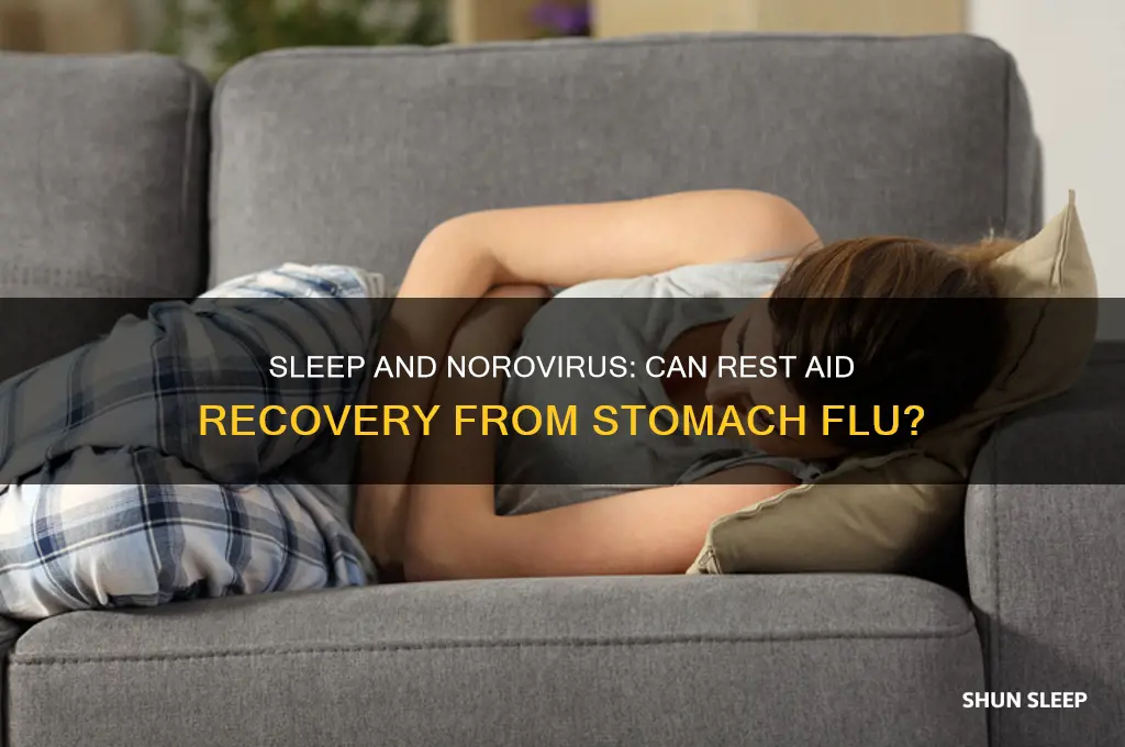 does sleep help norovirus