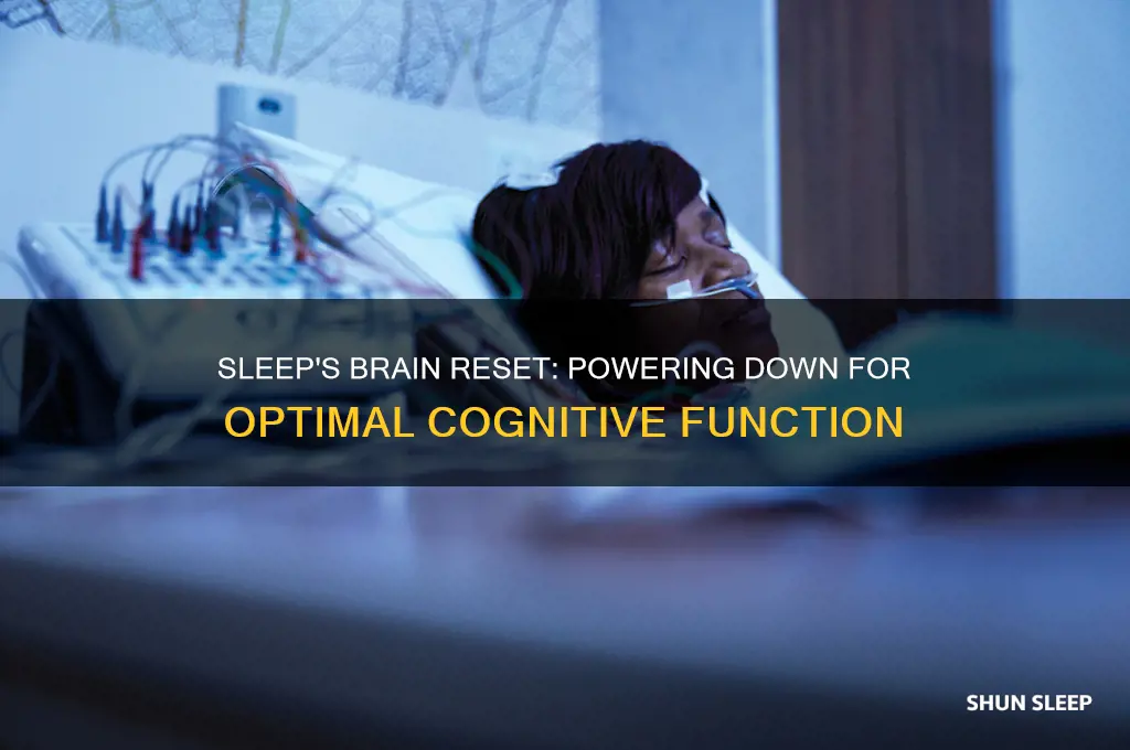 does sleep help power off your brain