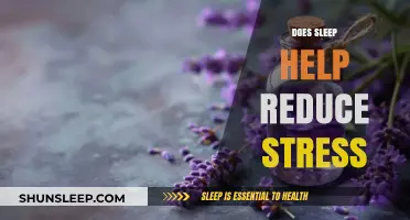 Sleep and Stress Relief: How Rest Reduces Anxiety Effectively