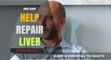 Sleep's Role in Liver Repair: Unlocking Healing Potential During Rest