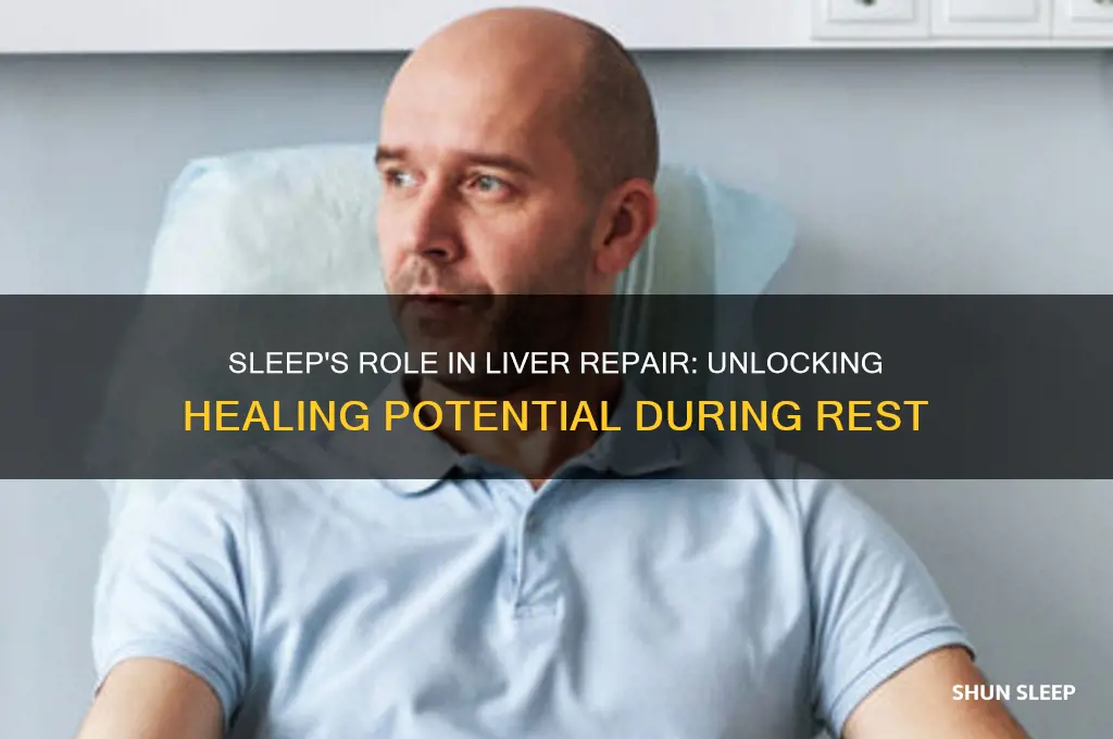 does sleep help repair liver
