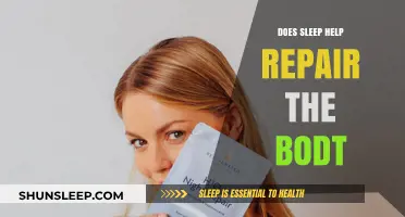 Sleep's Healing Power: How Rest Repairs and Rejuvenates Your Body
