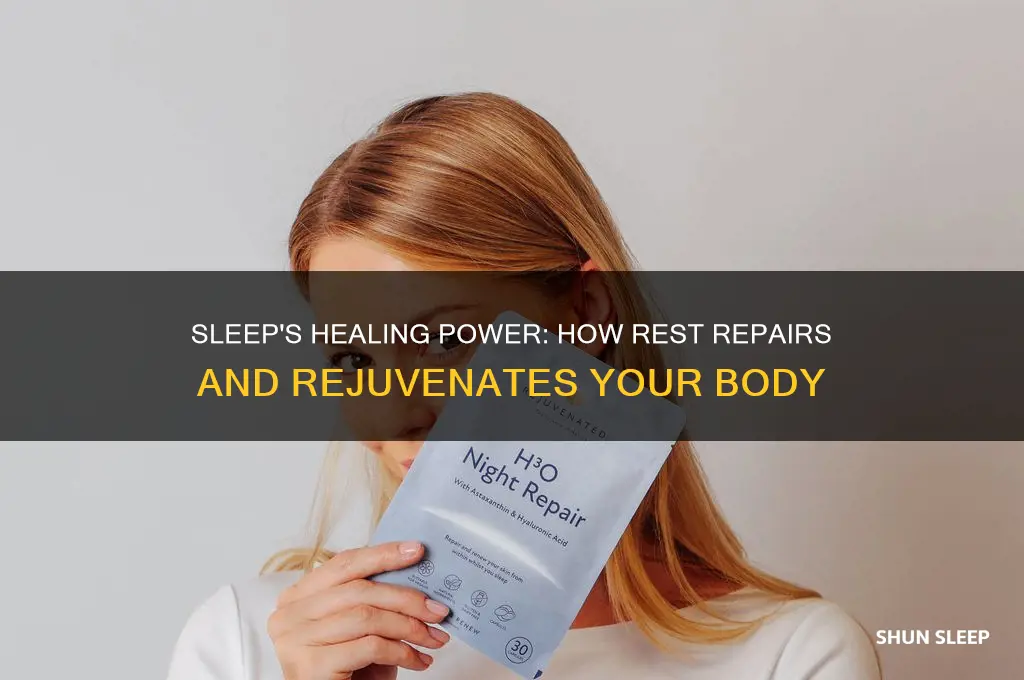 does sleep help repair the bodt