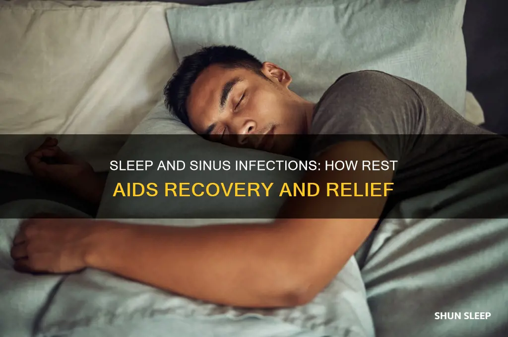does sleep help sinus infection