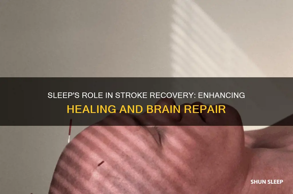 does sleep help stroke recovery