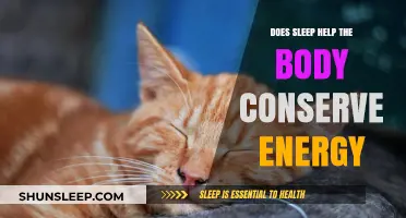 Sleep's Energy-Saving Role: How Rest Fuels Body Efficiency and Recovery