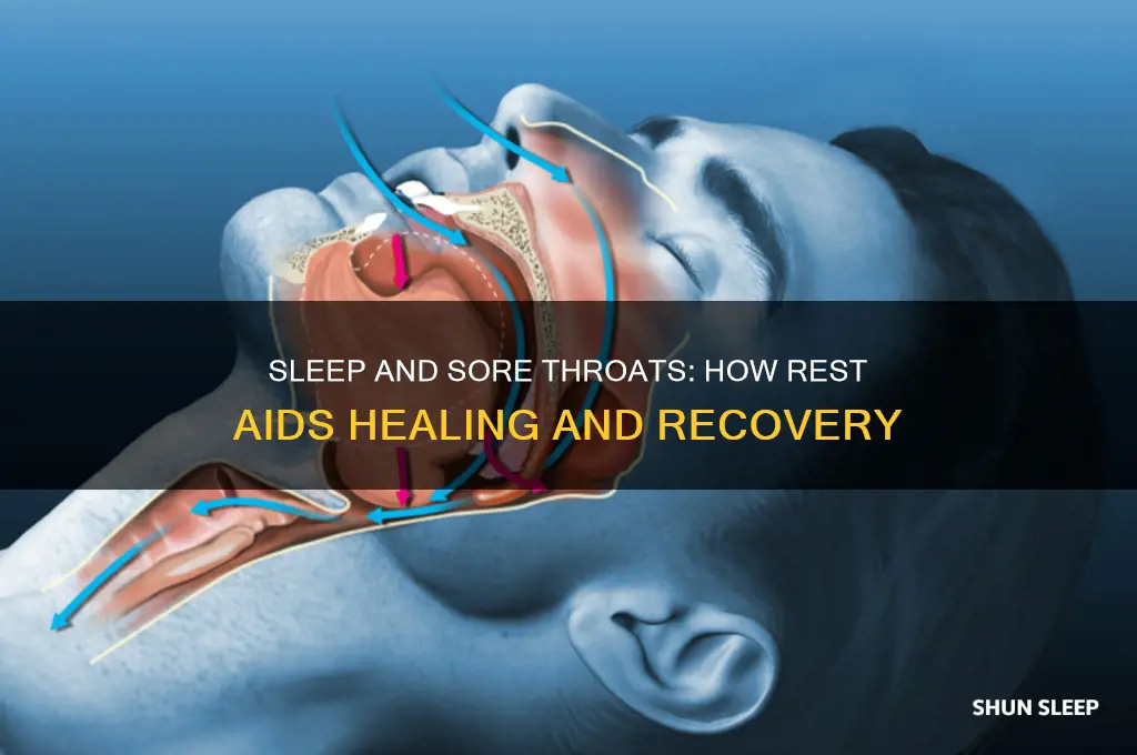 does sleep help with a sore throat