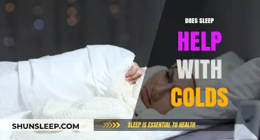 Sleep and Colds: How Rest Boosts Your Immune System Recovery