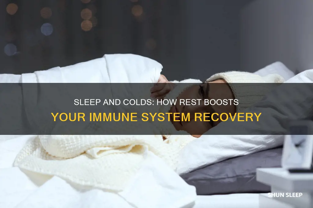 does sleep help with colds