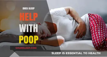 Sleep and Digestion: How Rest Impacts Your Bowel Movements