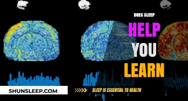 Sleep and Learning: Unlocking Cognitive Potential Through Restorative Slumber