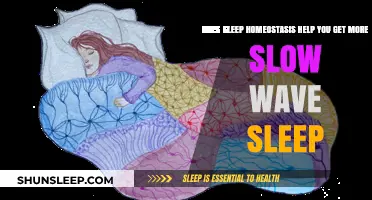 Sleep Homeostasis: Unlocking Deeper Slow Wave Sleep for Better Rest